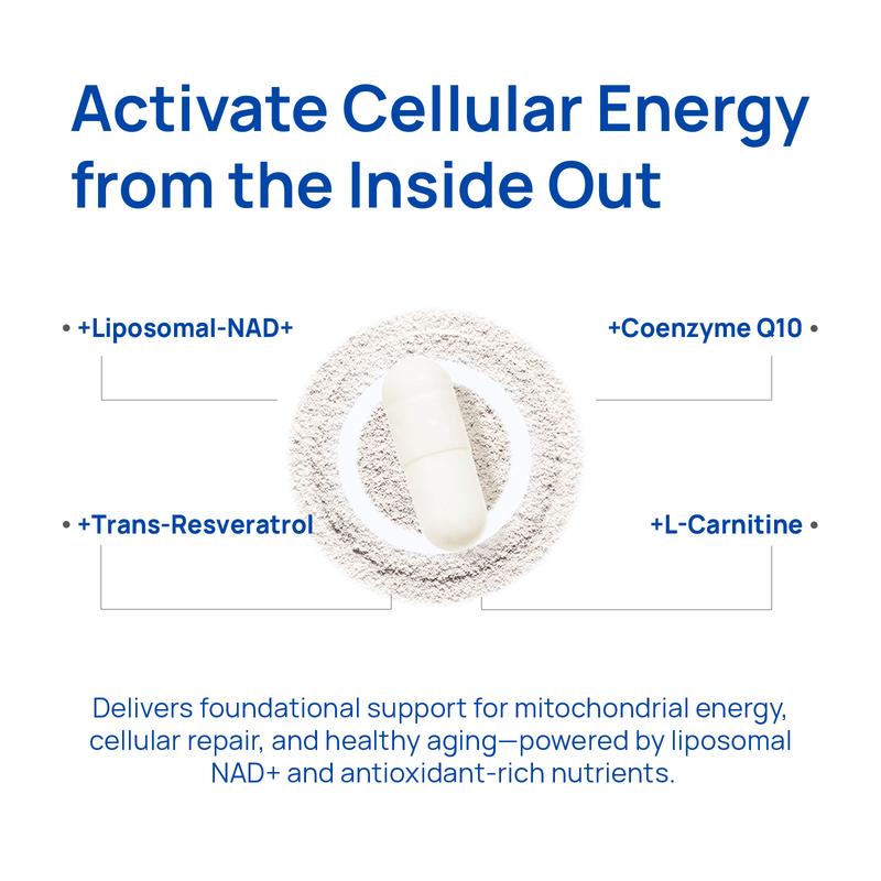 NAD+ For Men – Circulation & Prostate Support