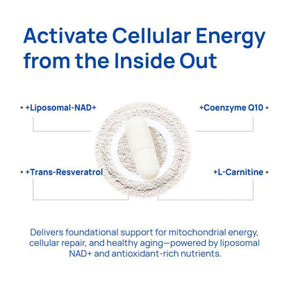 NAD+ For Men – Circulation & Prostate Support