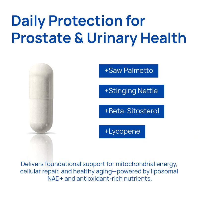 NAD+ For Men – Circulation & Prostate Support