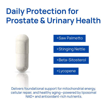 NAD+ For Men – Circulation & Prostate Support